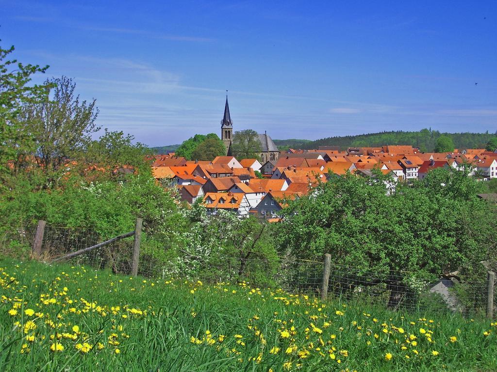 Ferienwohnung Am-Brueckenrain Frankenau Bagian luar foto