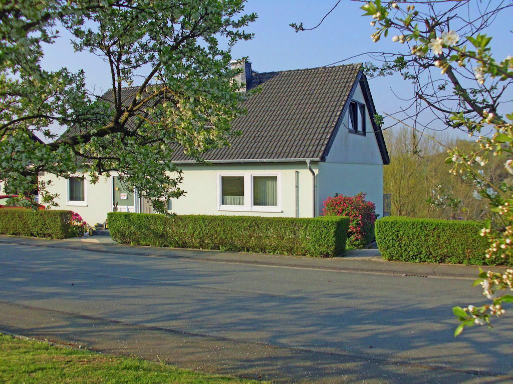 Ferienwohnung Am-Brueckenrain Frankenau Bagian luar foto